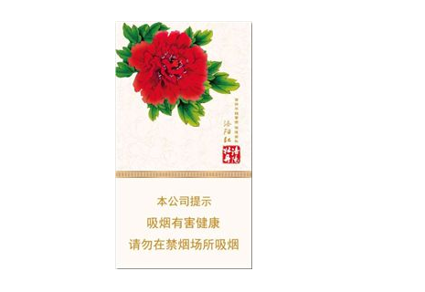 云霄最大香烟店铺地址